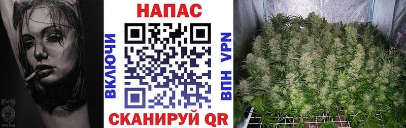 Купить наркотик аптеки Инсар Кокаин АМФЕТАМИН МЕФ hydra зеркало МАРИХУАНА ГАШ